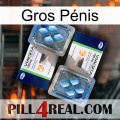 Gros Pénis viagra5